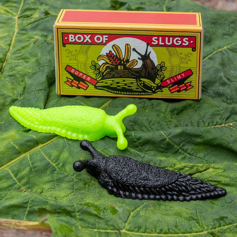 Box Of Two Slimey Slugs