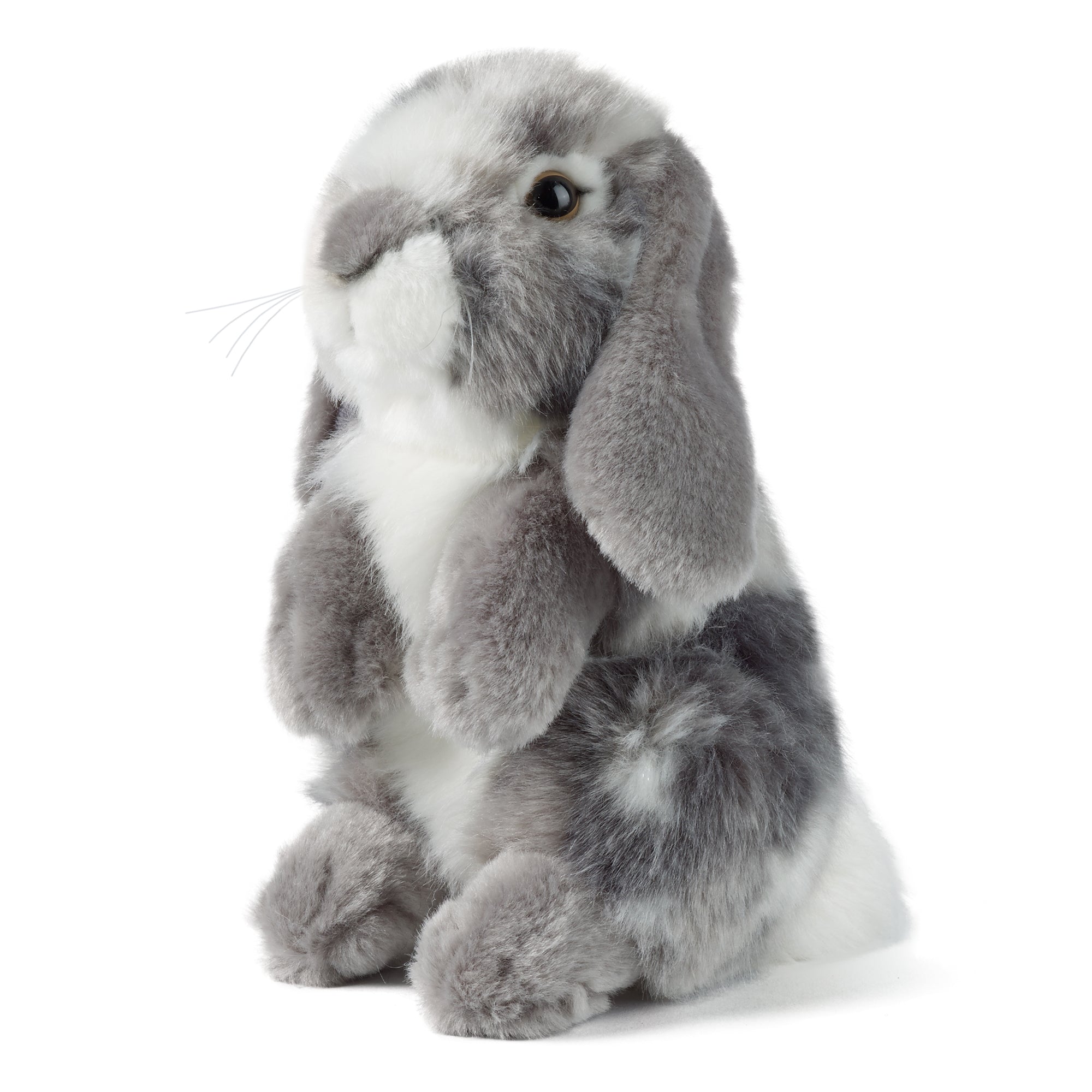 Gray lop eared fashion rabbit