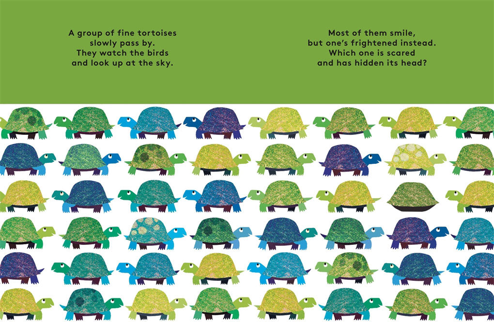 Odd One Out: A Spotting Book