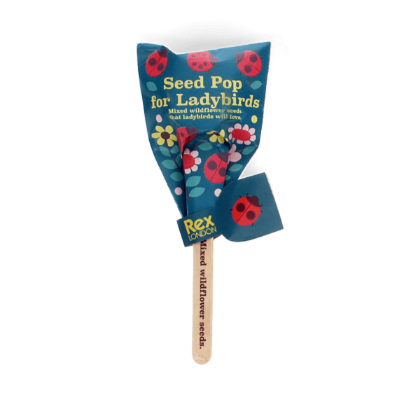 Seed Pops - Wild Flower Seeds