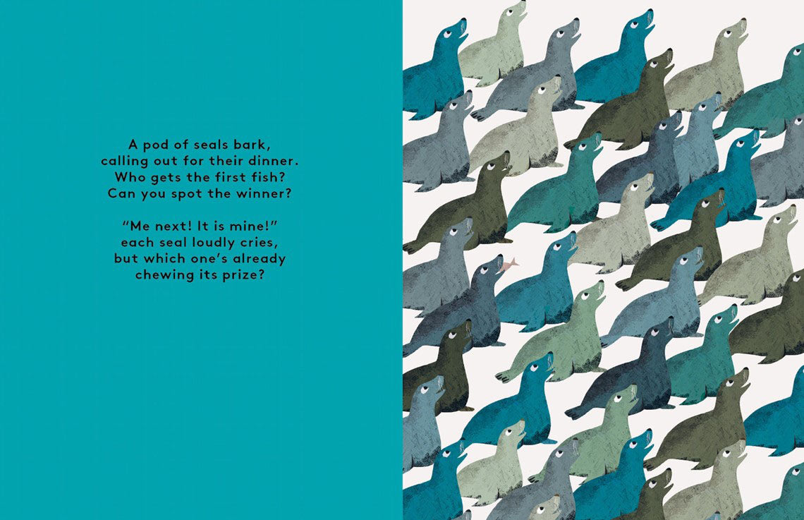 Odd One Out: A Spotting Book