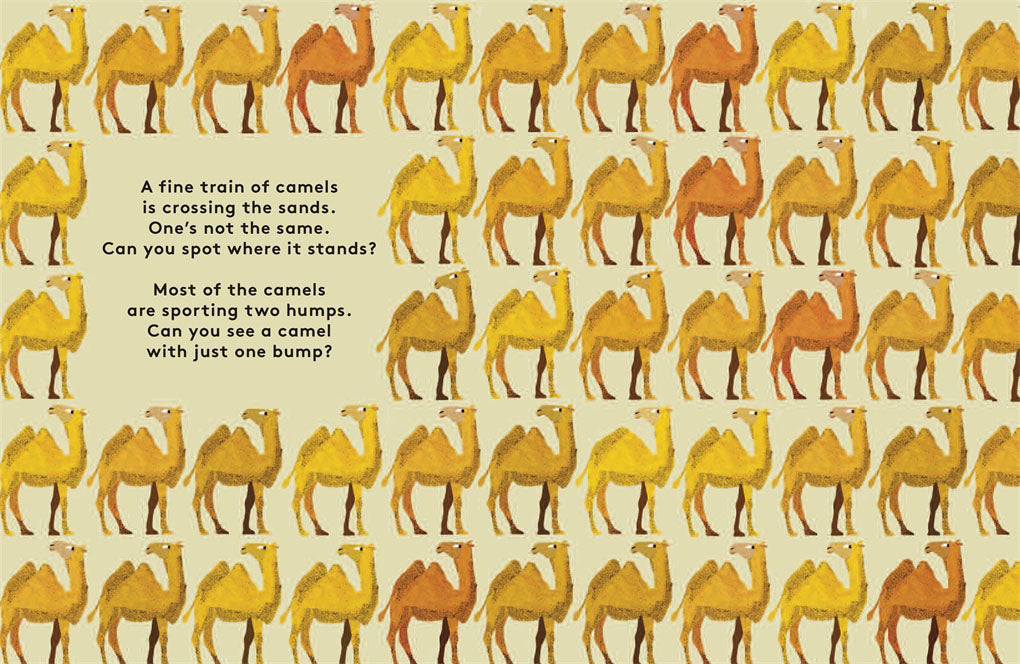 Odd One Out: A Spotting Book