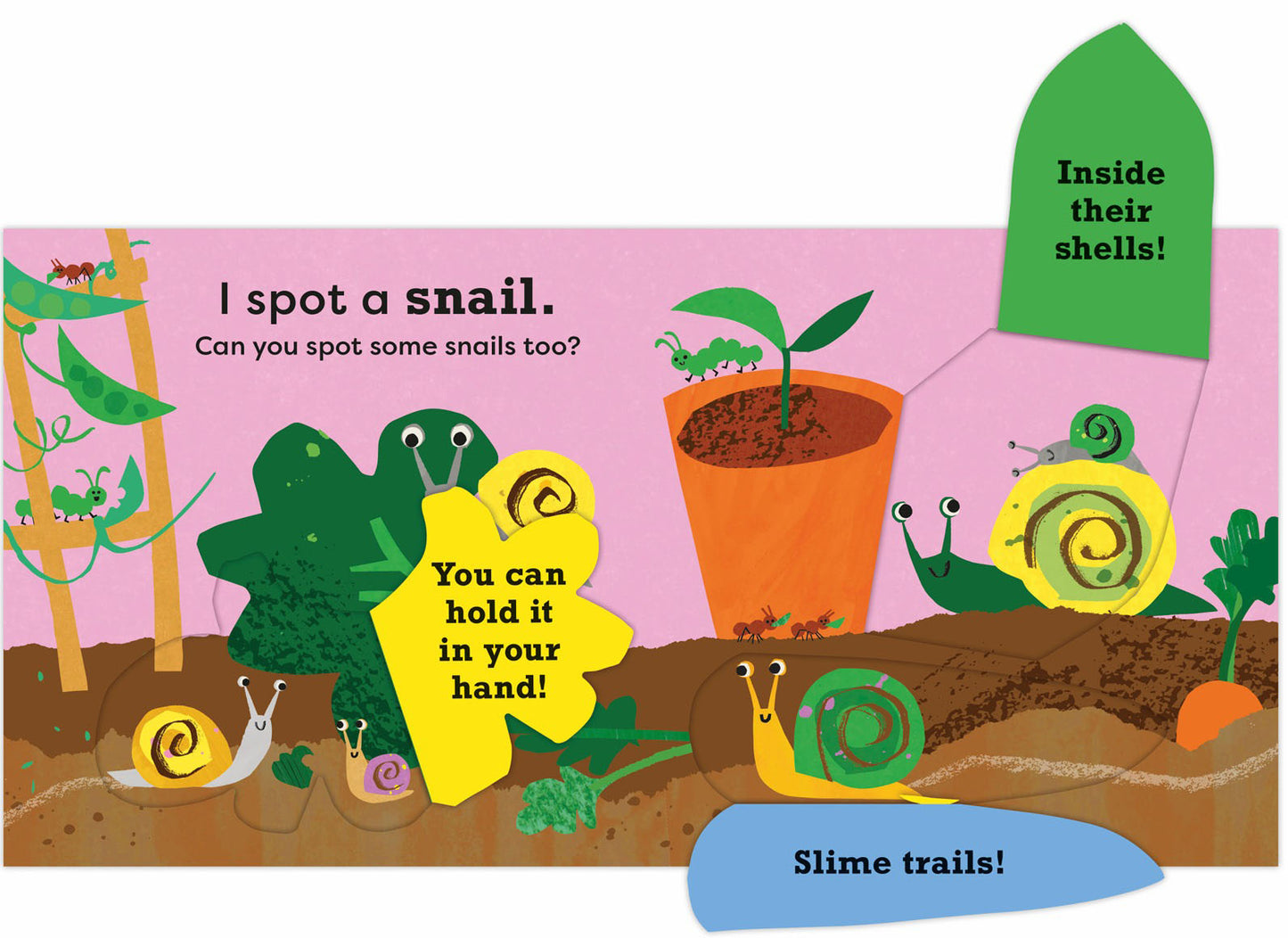 I spot a snail