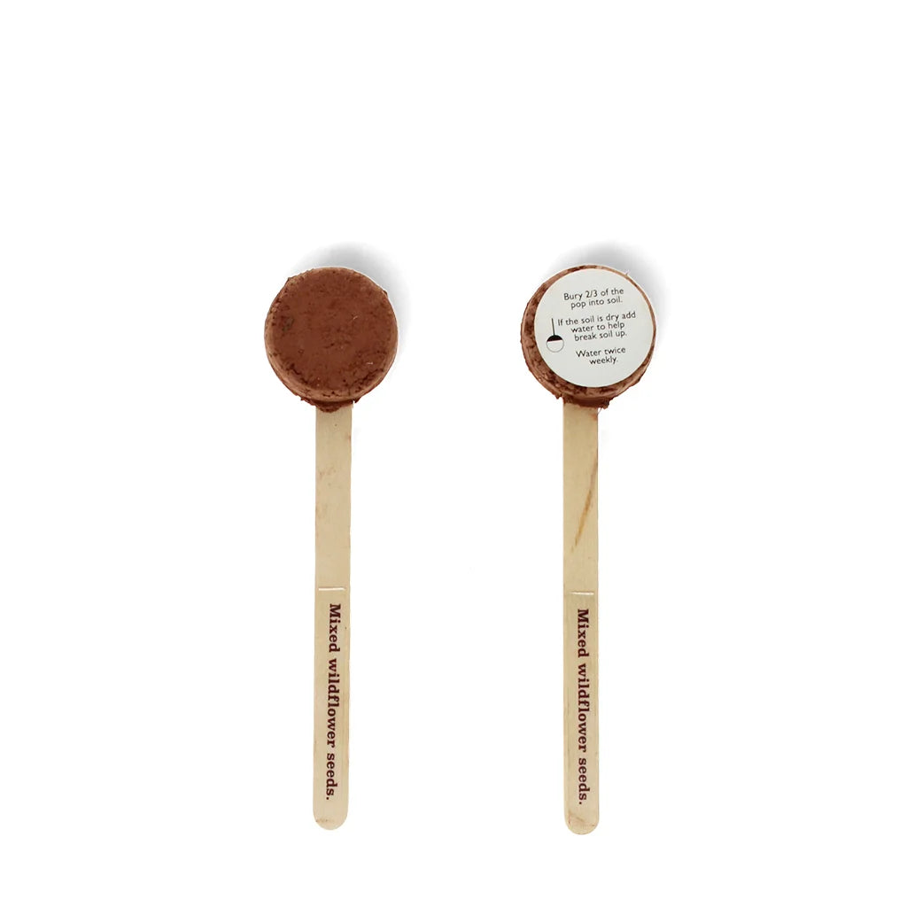 Seed Pops - Wild Flower Seeds