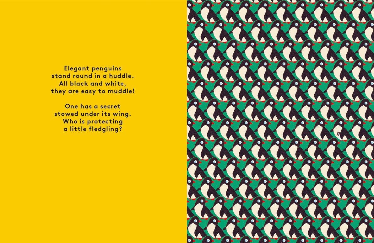 Odd One Out: A Spotting Book
