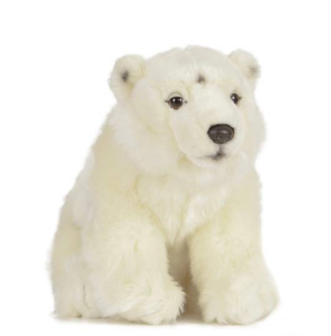 Polar Bear