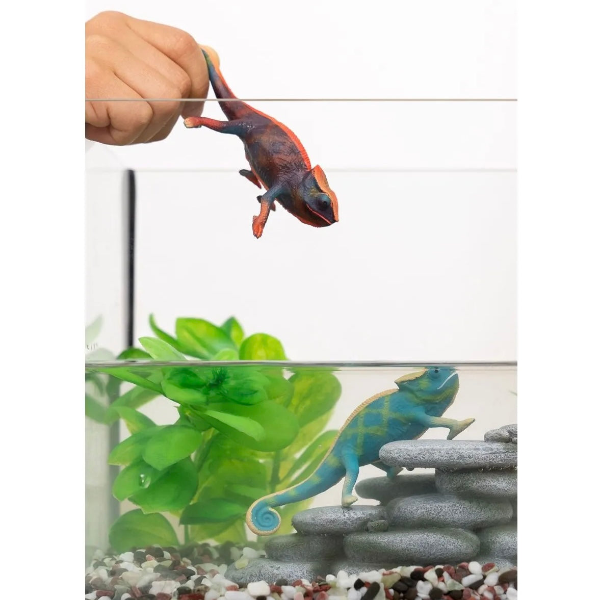 2 toy chameleon, one being dipped in water, the other submerged.