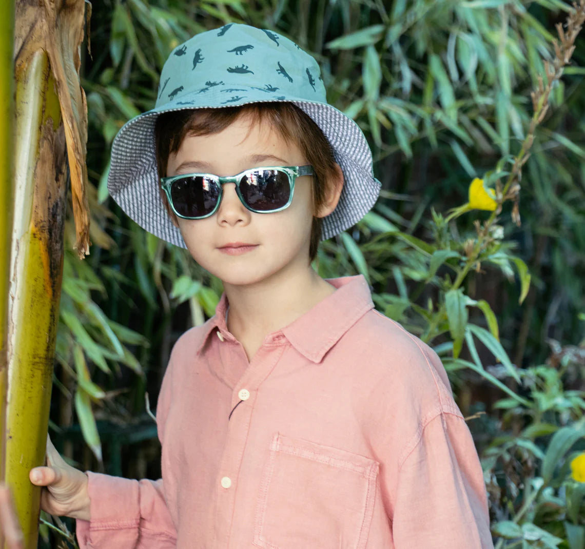 T-Rex Dinosaur Sunglasses