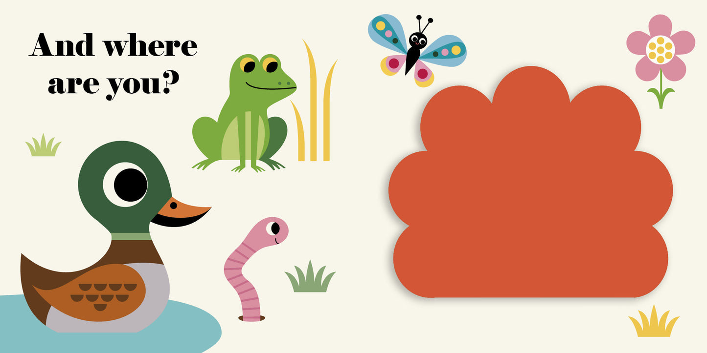 Where’s Mr Duck? Buggy Book