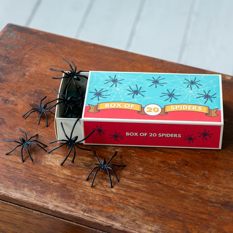 Box Of Twenty Spiders