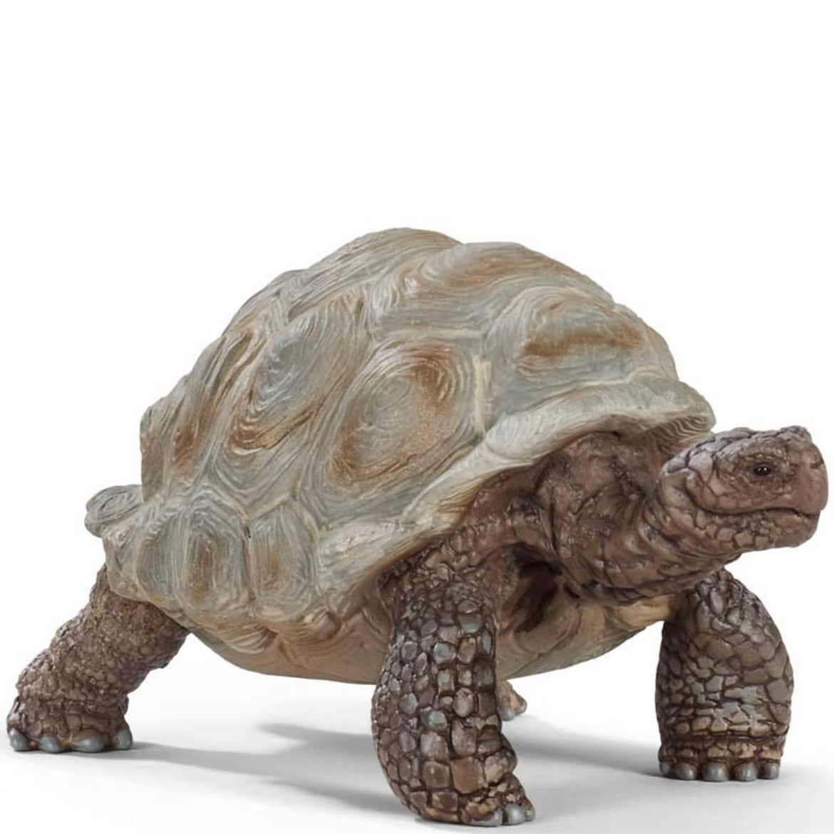 Toy tortoise. Hand painted, light green shell, with brown legs and head.