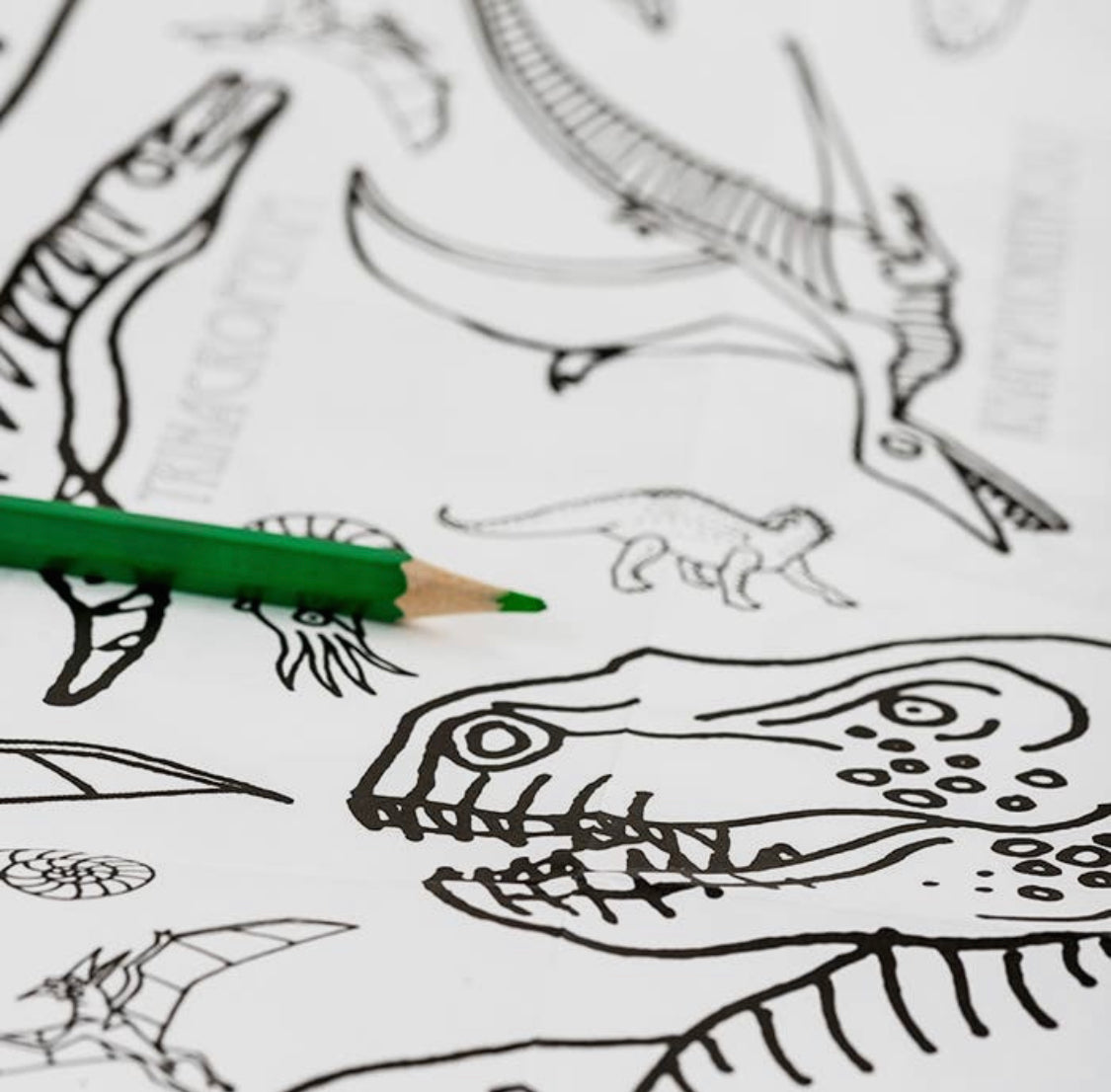 Giant colouring in poster/tablecloth - Dinosaurs