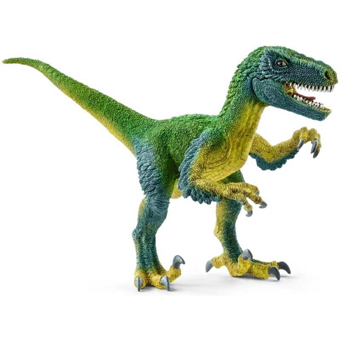 Toy dinosaur, velociraptor. Blue, green and yellow. Short arms, sharp teeth.