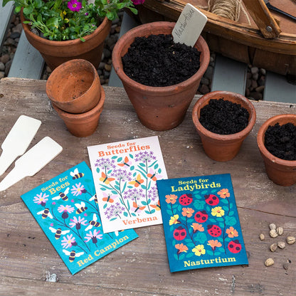 Pack of Flower Seeds