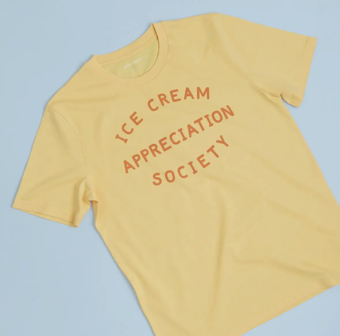 Unisex Adult Ice Cream Appreciation Society T-shirt -PREORDER