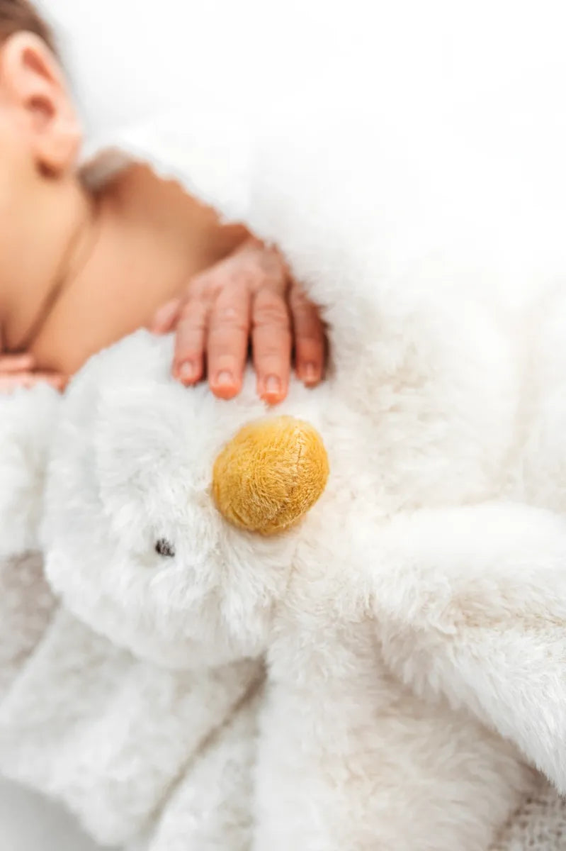 Little Goosey Snuggle Cloth