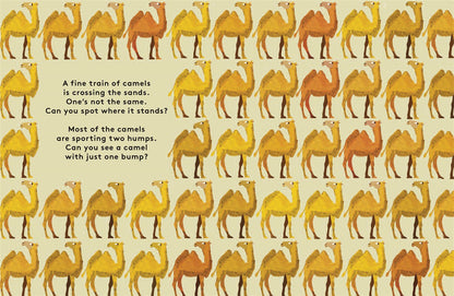 Odd One Out: A Spotting Book