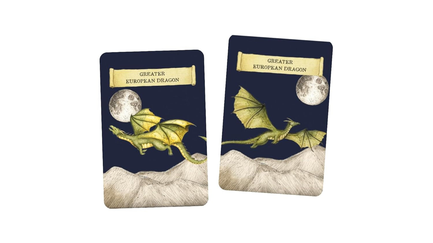Discover The Dragons: A memory game