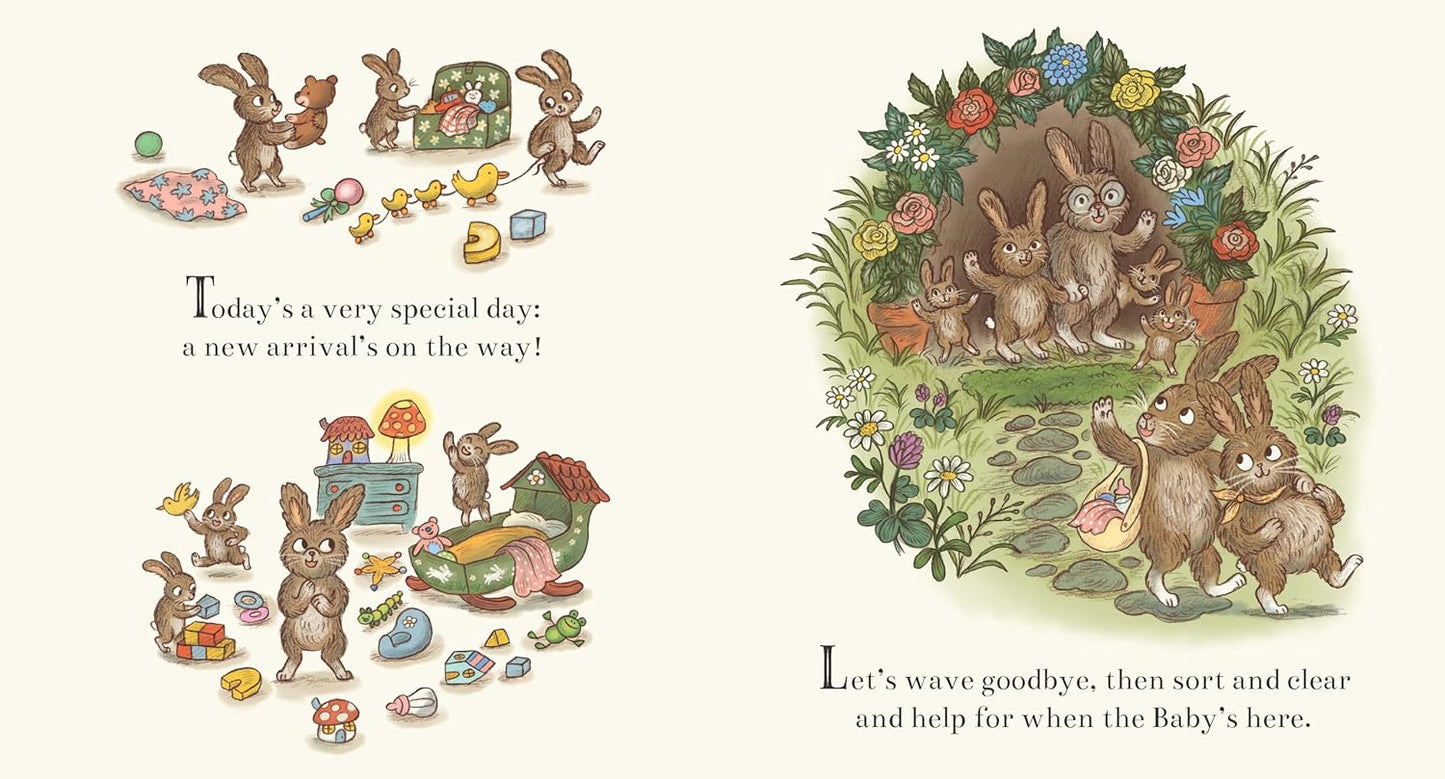 Brown Bear Wood: New Baby Bunny