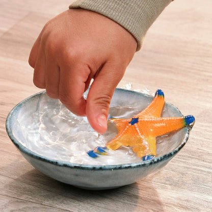 Schleich Starfish - colour change