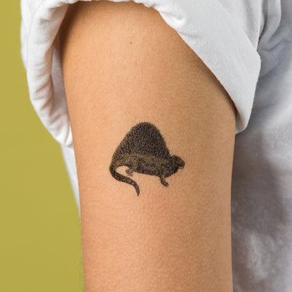 Temporary Tattoos - Dinosaur