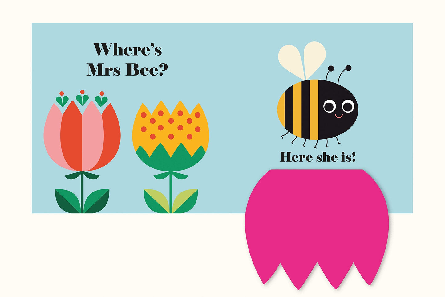 Where’s Mrs Ladybird ? Buggy Book