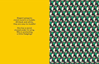 Odd One Out: A Spotting Book
