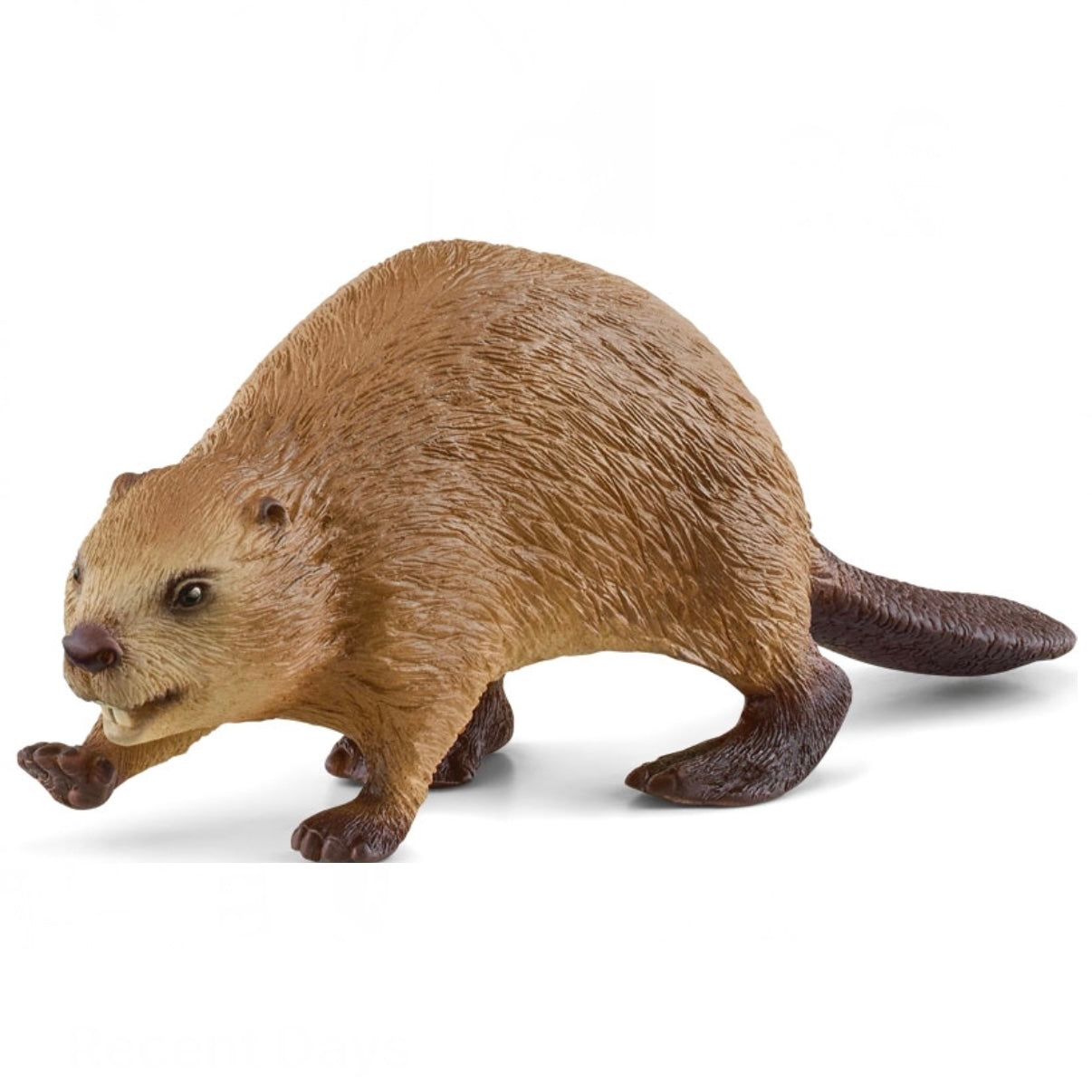 Schleich Beaver