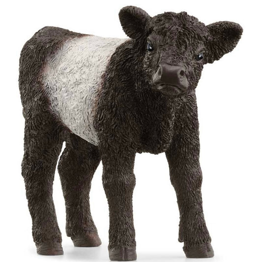 Schleich Galloway Calf