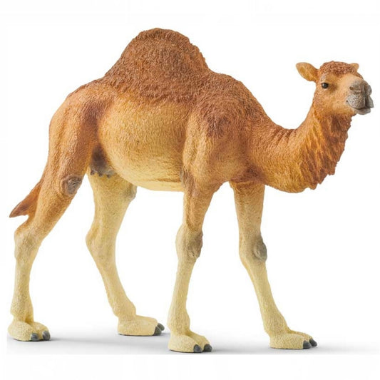 Schleich Dromedary - One Humped Camel