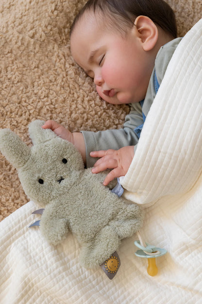Miffy Dummy Cloth Fluffy - Green