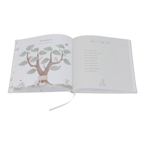Little Dutch Baby Book My First Year