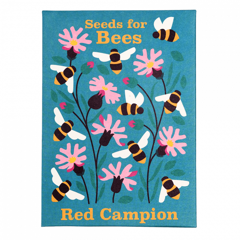 Pack of Flower Seeds