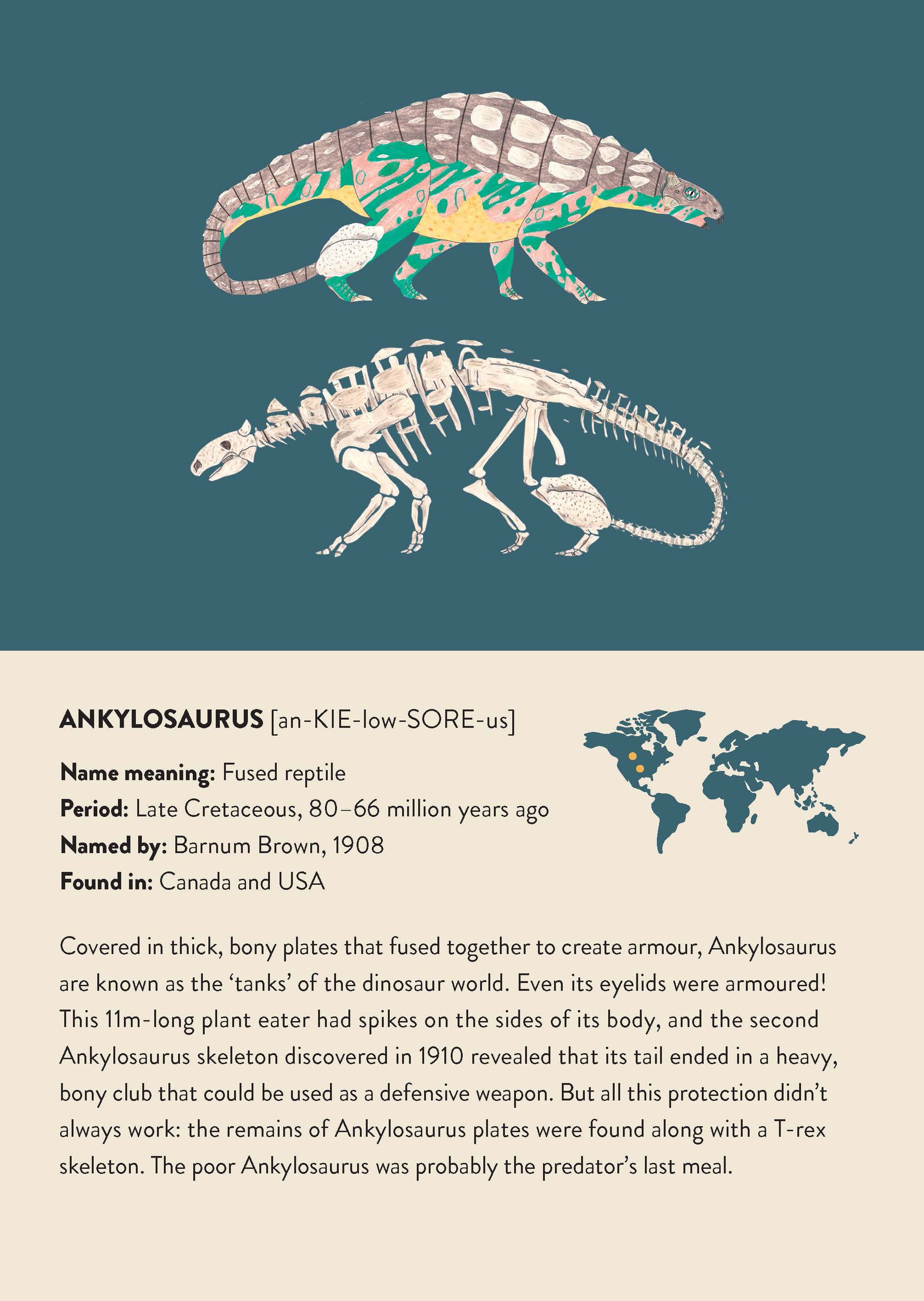 The match the bones dinosaur memory game includes lots of interesting dinosaur facts for dinosaur fans