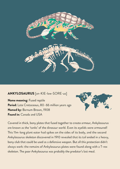 The match the bones dinosaur memory game includes lots of interesting dinosaur facts for dinosaur fans