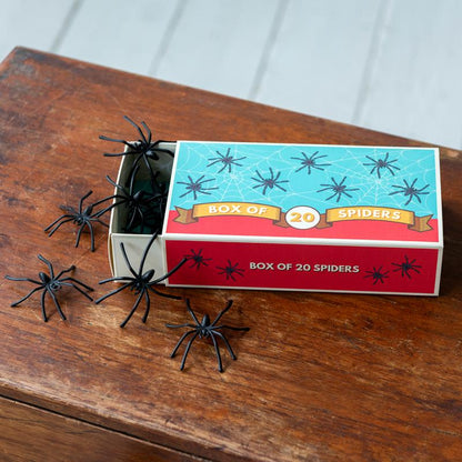 Box Of Twenty Spiders