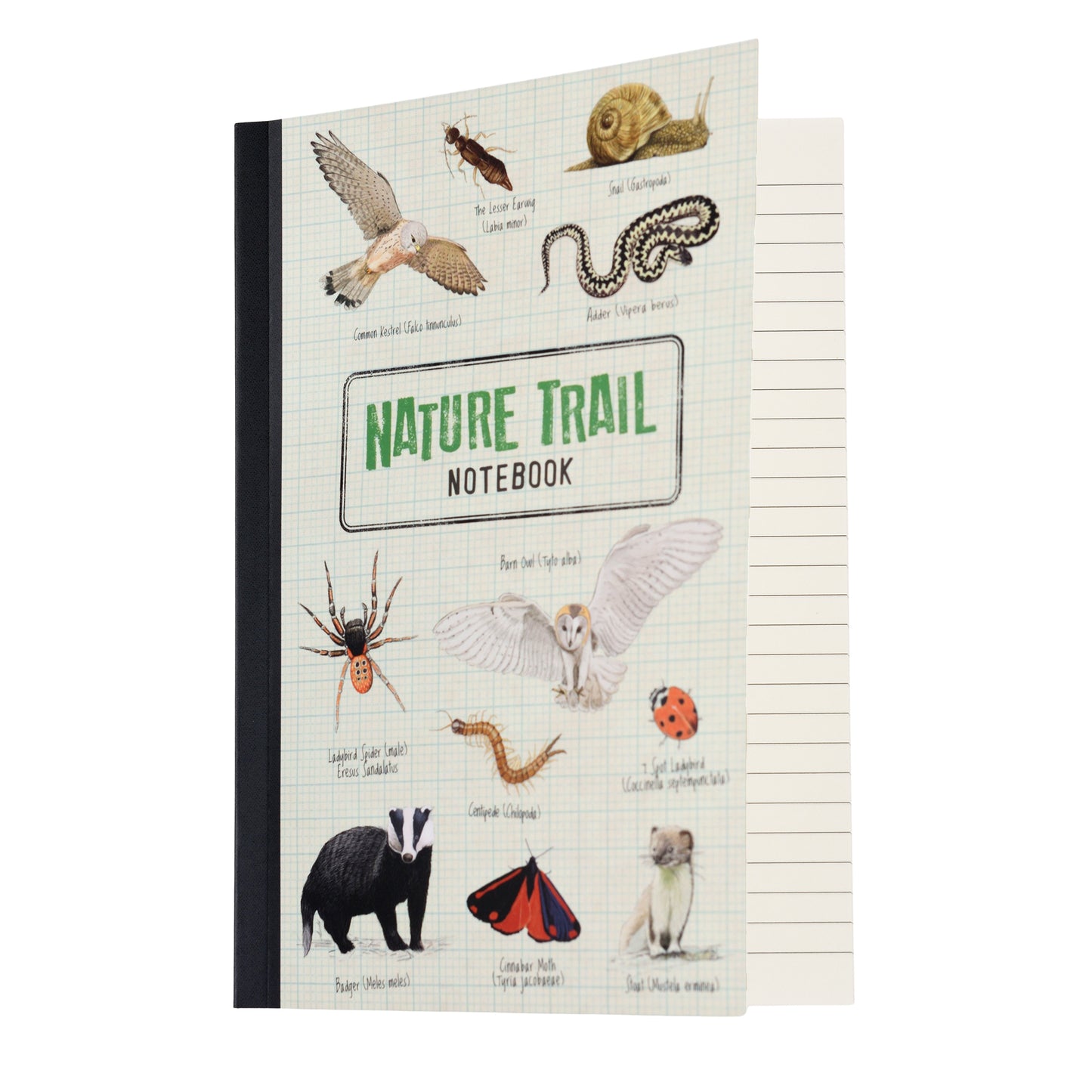 Nature Trail A5 Notepad