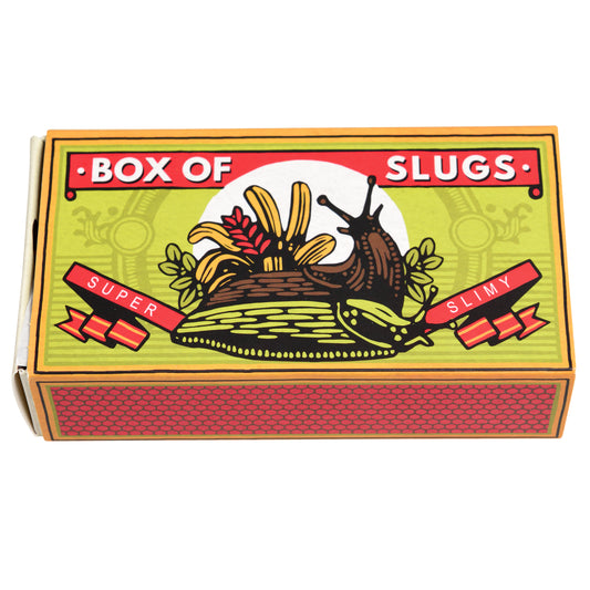 Box Of Two Slimey Slugs