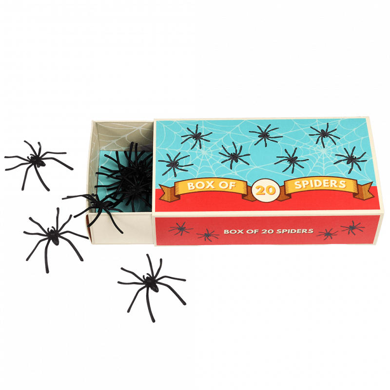 Box Of Twenty Spiders