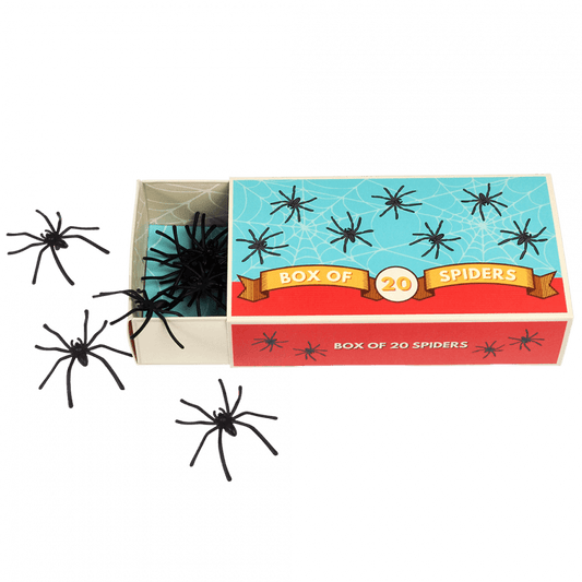 Box Of Twenty Spiders