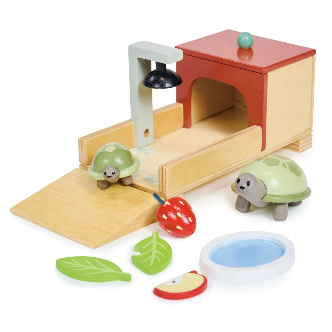 Pet Tortoise Set