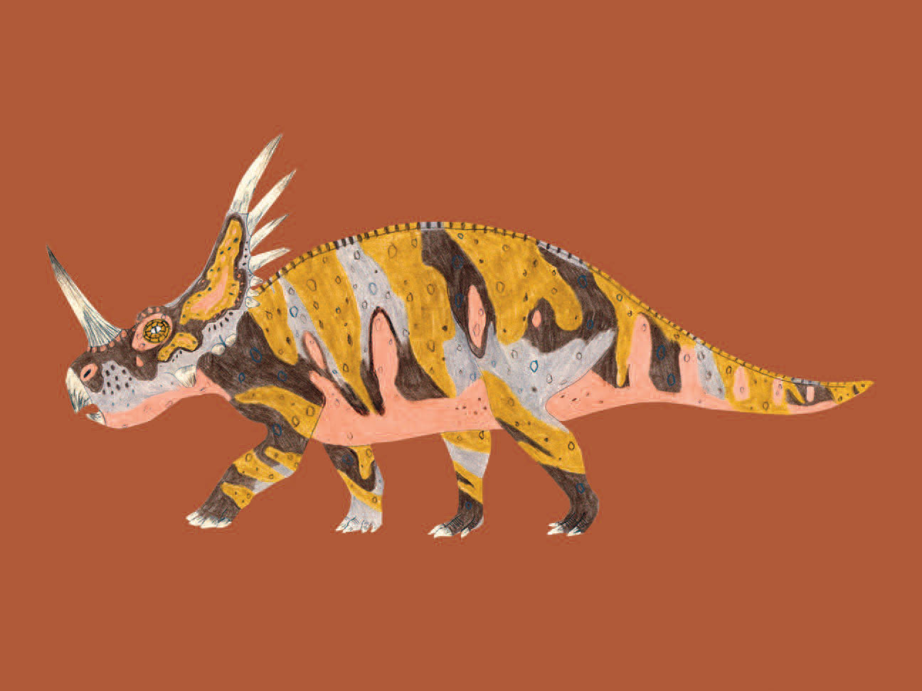 A great memory and matching game for children where they need to find the skeleton for each dinosaur 
