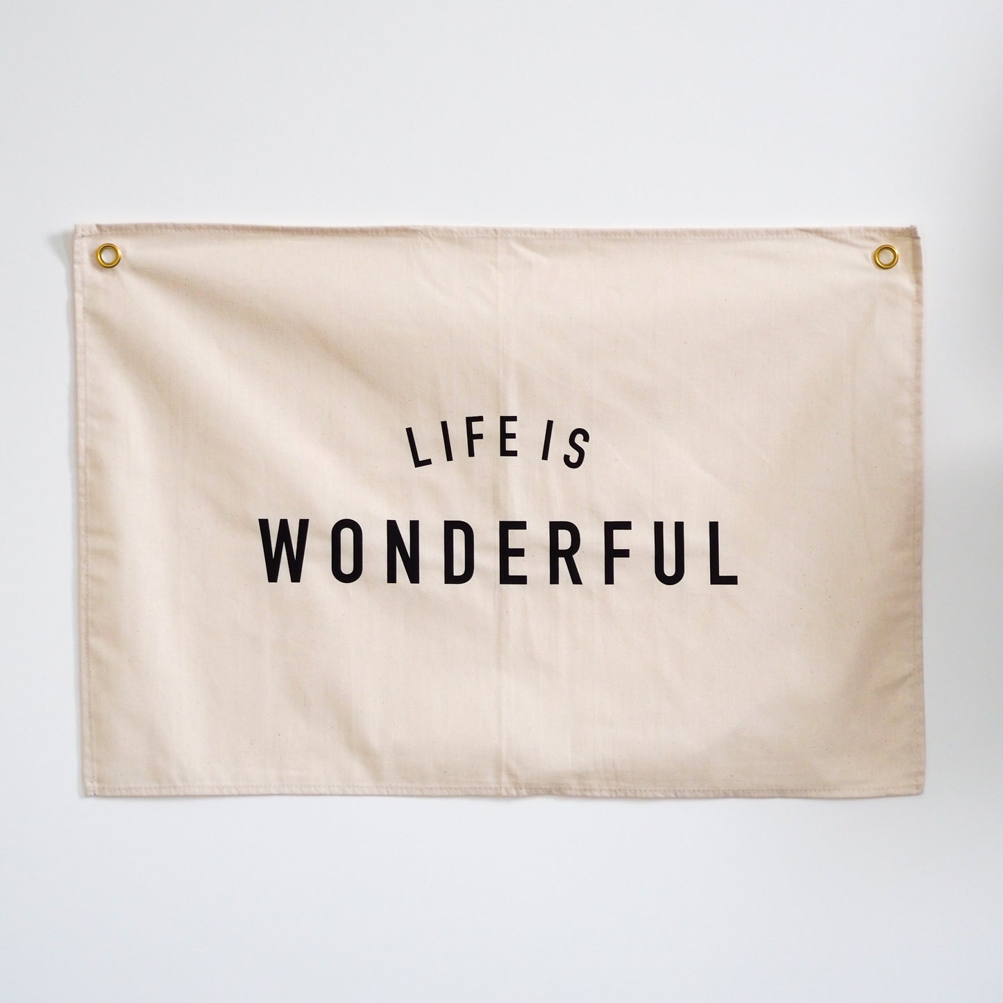 Life Is Wonderful Wall Flag